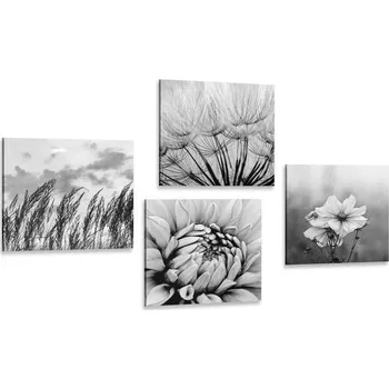 Obraz Dovido Set obrazů černobílá louka s květinami