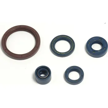 Těsnění pro motocykl Sada gufer motoru ATHENA HUSQVARNA 450 TE rok 03-09