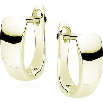 Náušnice Pozlacené náušnice NINA Ag 925/1000