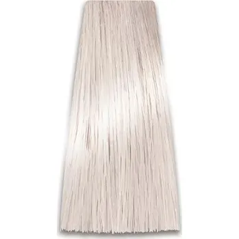 Barva na vlasy 10/1 Prosalon Professional Intensis Color Art (100 gr)