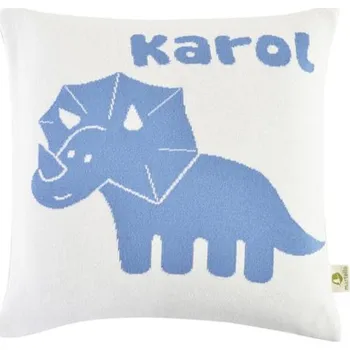 Povlak na dekorativní polštářek mimmo.cz Povlak na polštář se jménem vzor Dino, 40 x 40 cm