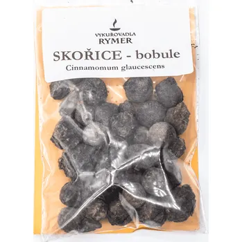 Vonná tyčinka Rymer Skořicovník - bobule Nepál - vykuřovadlo 60409