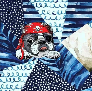 Úplet, Frenchie pirát, panel (E) (Luxusní vzory z Turecka)