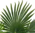 Umělá květina Umělá rostlina palma s květináčem 280192 70 cm zelená