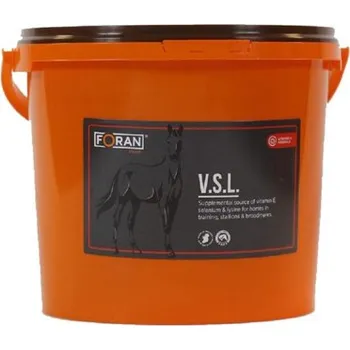 Minerály & vitamíny V.S.L. Powder 2,5 kg
