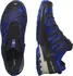 Pánská běžecká obuv Salomon XA Pro 3D V9 Gore-Tex L47270300