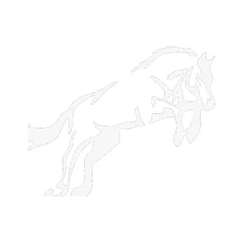 Samolepící dekorace Kůň 025 pravá skok (09 - bílá) SAMOLEPKA NA AUTO, NÁLEPKA, FÓLIE, POLEP, TUNING, VLASTNÍ TEXT, TISK, AUTOSAMOLEPKY.cz, POLEPY, OBRÁZEK, LOGO, 3D STICKERS
