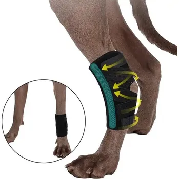 Opěra nohou psa pro podporu kotníku Rear Leg ortéza, Barvy a parametry S