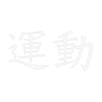 Polep vozidla SAMOLEPKA Čínský znak Sport (09 - bílá) NA AUTO, NÁLEPKA, FÓLIE, POLEP, TUNING, VLASTNÍ TEXT, TISK, AUTOSAMOLEPKY.cz, POLEPY, OBRÁZEK, LOGO, SAMOLEPKY