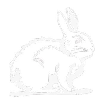 Samolepící dekorace Zajíček 001 pravá (09 - bílá) SAMOLEPKA NA AUTO, NÁLEPKA, FÓLIE, POLEP, TUNING, VLASTNÍ TEXT, TISK, AUTOSAMOLEPKY.cz, POLEPY, OBRÁZEK, LOGO, 3D STICKERS