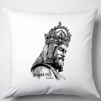 Polštář Polštář - Karel IV Typ povlaku: Plyš