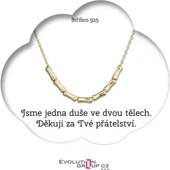 Náhrdelník Jsme jedna duše ve dvou tělech. Děkuji za Tvé přátelství - OB22.2