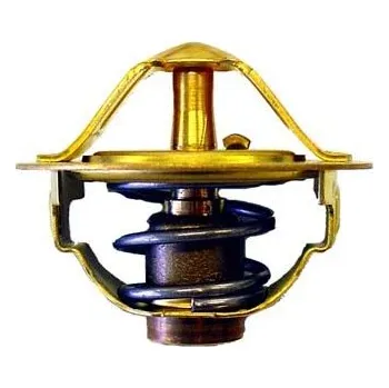 Auto-moto Termostat, chladivo BorgWarner (Wahler) 410352.88D