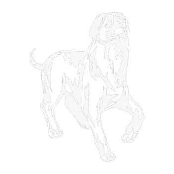 Polep vozidla SAMOLEPKA Pes 047 pravá (09 - bílá) NA AUTO, NÁLEPKA, FÓLIE, POLEP, TUNING, VLASTNÍ TEXT, TISK, AUTOSAMOLEPKY.cz, POLEPY, OBRÁZEK, LOGO, SAMOLEPKY