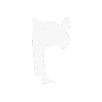 Polep vozidla Taekwondo 002 levá (09 - bílá) SAMOLEPKA NA AUTO, NÁLEPKA, FÓLIE, POLEP, TUNING, VLASTNÍ TEXT, TISK, AUTOSAMOLEPKY.cz, POLEPY, OBRÁZEK, LOGO, 3D STICKERS