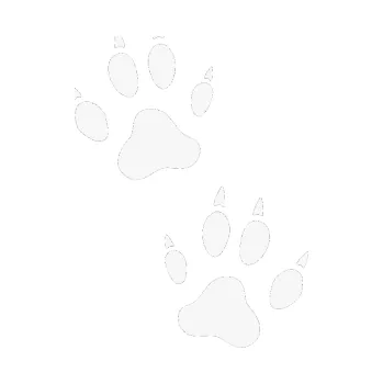 samolepka Tlapky 004 (09 - bílá) SAMOLEPKA NA AUTO, NÁLEPKA, FÓLIE, POLEP, TUNING, VLASTNÍ TEXT, TISK, AUTOSAMOLEPKY.cz, POLEPY, OBRÁZEK, LOGO, 3D STICKERS