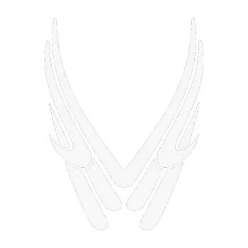 Polep vozidla SAMOLEPKA Kapota 011 (09 - bílá) NA AUTO, NÁLEPKA, FÓLIE, POLEP, TUNING, VLASTNÍ TEXT, TISK, AUTOSAMOLEPKY.cz, POLEPY, OBRÁZEK, LOGO, SAMOLEPKY