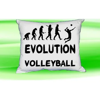 Polštář Polštář Evolution VOLLEYBALL Bilý (polštářek evolution volejbal)