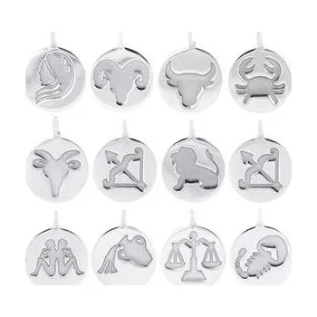 Přívěsek NB-4223-02 Stříbrný přívěšek - znamení