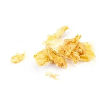 Průmyslové lepidlo Vyzí klih v plátcích Saliansky 20g Kremer 63110 (Vyzí klih v plátcích Saliansky 20g Kremer 63110)