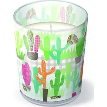 Svíčka Paw PAW svíčka ve skle Cactus Garden 467176
