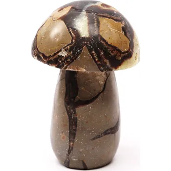 Drahý kámen Magieprirody.cz Houba z kamene Septárie 107 mm - 502 g #B466