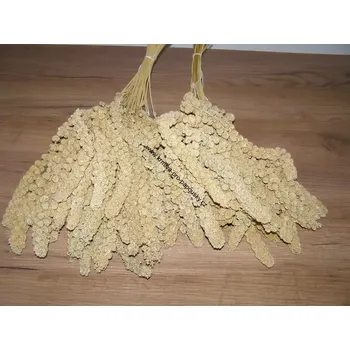 Krmivo pro ptáka LECODE H.K. INTLĹ Senegalské proso klasy žluté 1kg