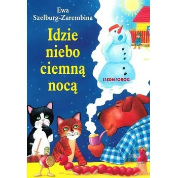Pohádka Idzie niebo ciemną nocą [PL] (2022, Brožovaná, Siedmioróg)