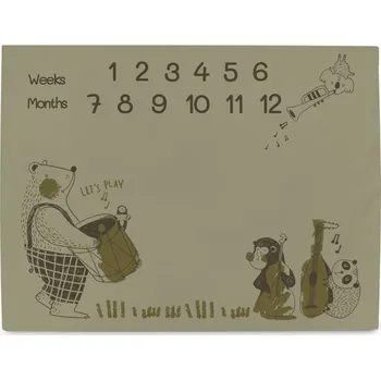 Dětská deka Ceba Podložka milníková na focení (92 x 72 cm) Basic Band