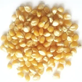 Chov hospodářského zvířete Energys KUKUŘICE - zrno 25 kg