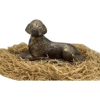 Čokoláda Čokoládový labrador - Čokolandia