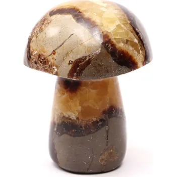 Drahý kámen Magieprirody.cz Houba z kamene Septárie 88 mm - 359 g #C20