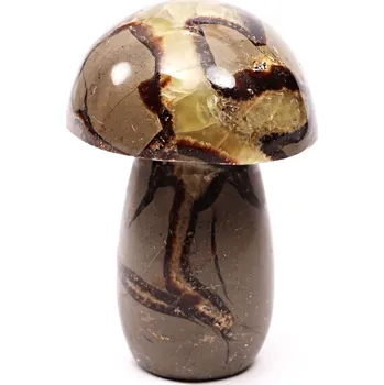 Drahý kámen Magieprirody.cz Houba z kamene Septárie 104 mm - 492 g #C6