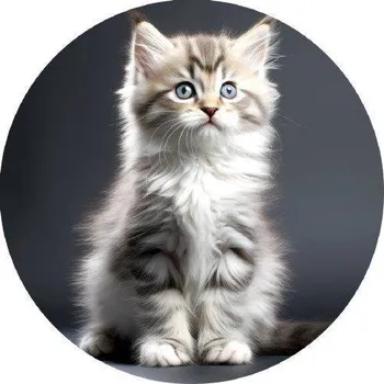 Jedlá dekorace na dort Jedlý papír malé koťátko 19,5cm - PICTURE