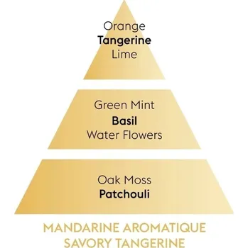 Aroma difuzér Maison Berger Paris Difuzér Mini Revelry, Voňavá mandarinka, 80 ml