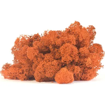 umělá květina Stabilizovaný LIŠEJNÍK (sobí mech) Canopy | ORANŽOVÝ | 100 g