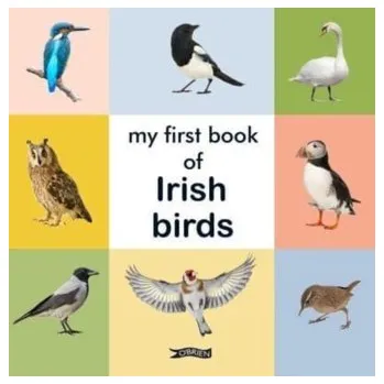Příroda My First Book of Irish Birds