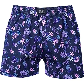 Trenýrky Dámské Trenýrky FOLTÝN DTR 11 Velikost: 2XL