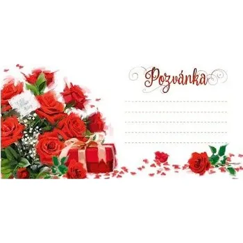 Pozvánka ARGUS Pozvánka na oslavu 24030006 - 10kusů