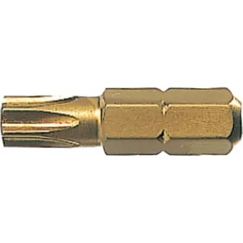 Bit BIT TORX fischer TX 40 L= 25mm TITAN