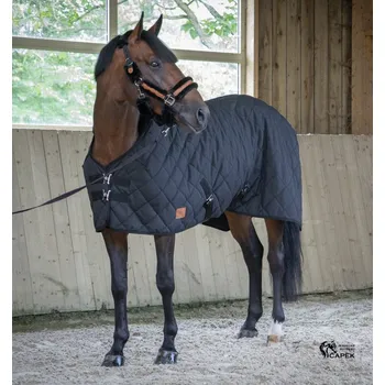 Deka pro koně Stájová deka Paddock -PADDED 50G- - Černá - 150cm