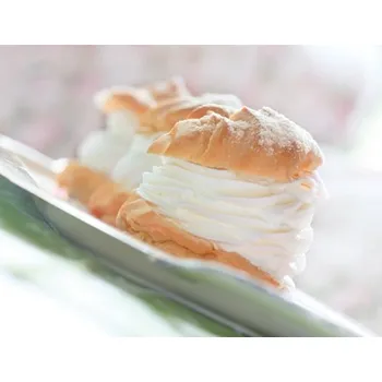 Zeelandia Odpalované těsto směs na přípravu Hmotnost: 0,5 kg