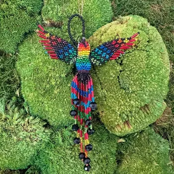 Kolibřík korálkový - Alegria