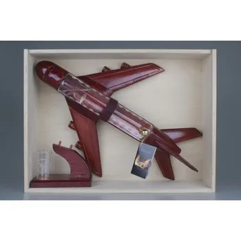 RC model Letadlo slivovice