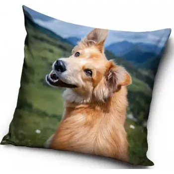 Dekorativní polštářek Povlak na polštář Pejsek na výletě, 40x40 cm (Dekorační povlaky na polštářky se psem, psi)