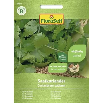 Semeno Koriandr setý FloraSelf