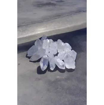 Špice Křišťál mini