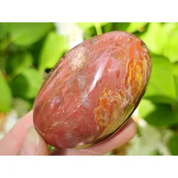 Přírodní kámen Zkamenělé dřevo hladký kámen z Madagaskaru 108g