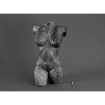 Silikonová forma - Bysta Ženy 11 x 7,5 x 20 cm