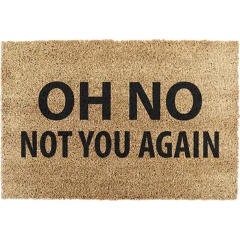 Rohožka Rohožka z kokosového vlákna 40x60 cm Not You Again – Artsy Doormats ID_659694
